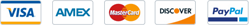 Secure Payments: PayPal, American Express, Visa, Mastercard